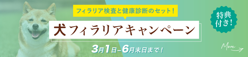 犬フィラリアキャンペーン