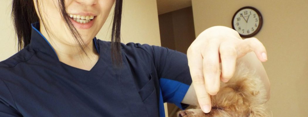 佐藤