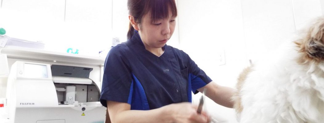 佐藤