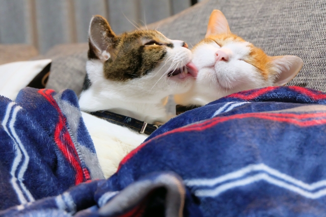 医師に連絡する時期